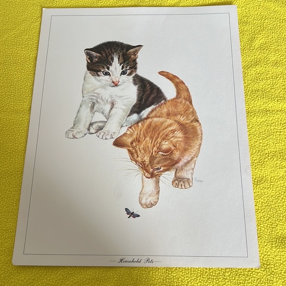 Cat 🐈‍⬛ Portraits - Picture 5 of 7